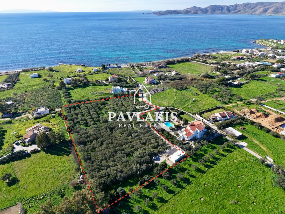 Land in Euboea, Thessaly and Central Greece, Greece 1 - 16912014
