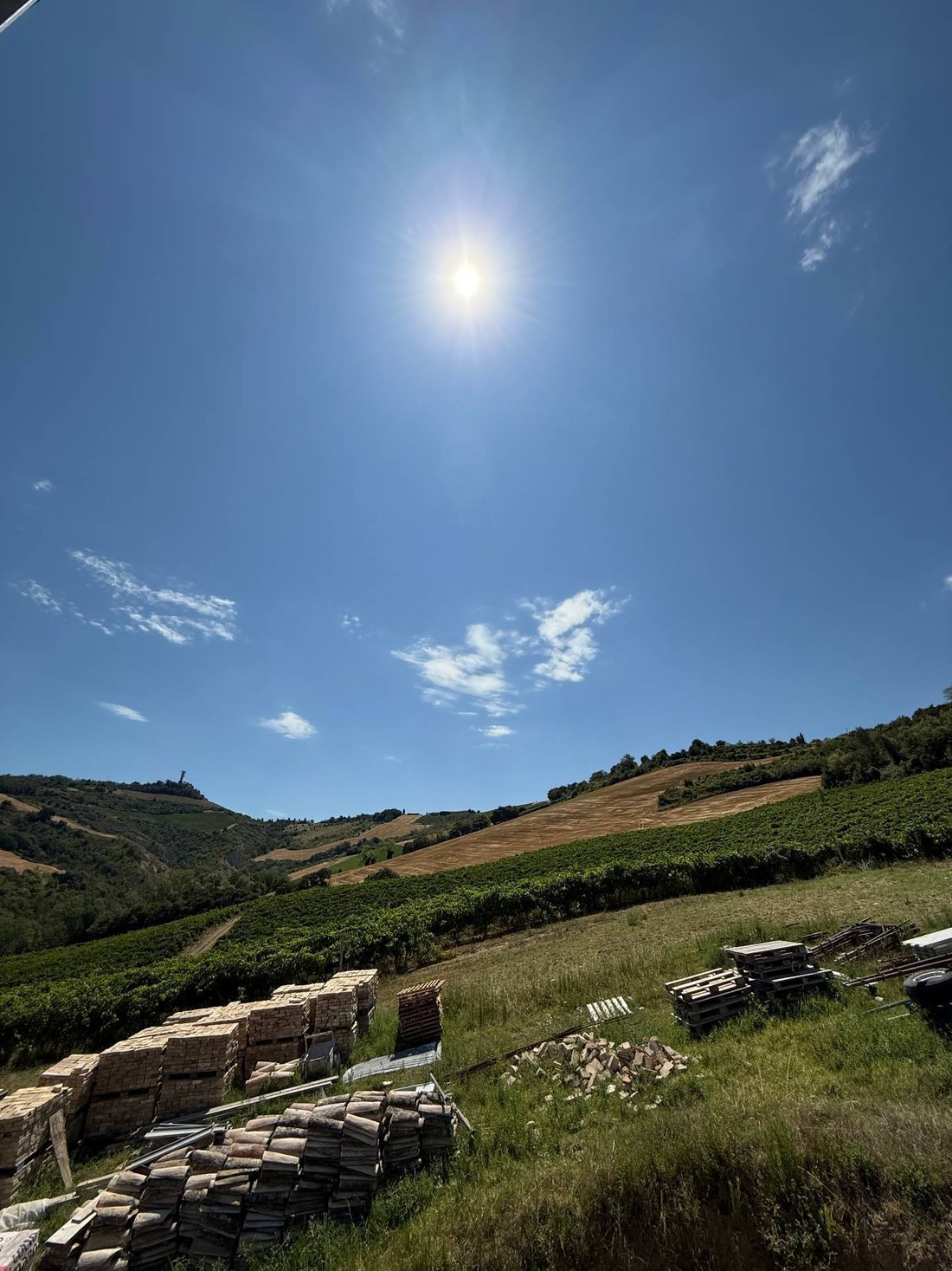 Country House in Ripatransone, Marche, Italy 5 - 16908202