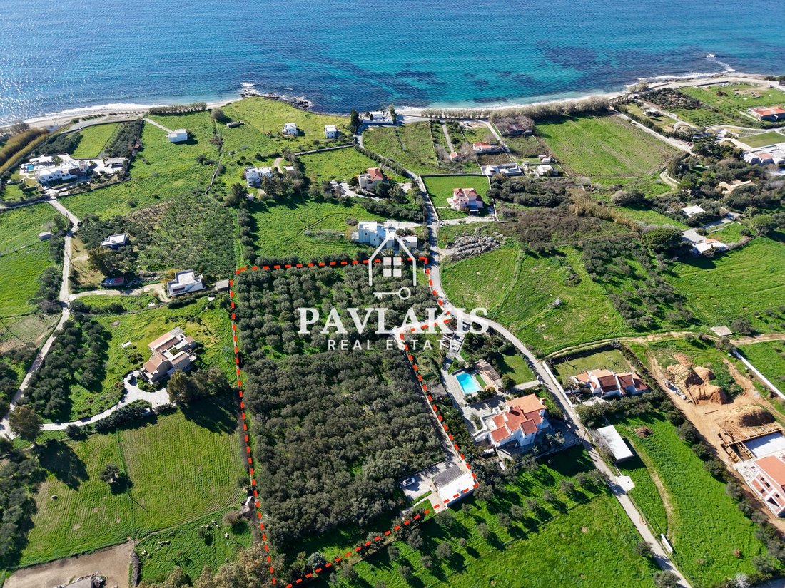 Land in Euboea, Thessaly and Central Greece, Greece 4 - 16912014
