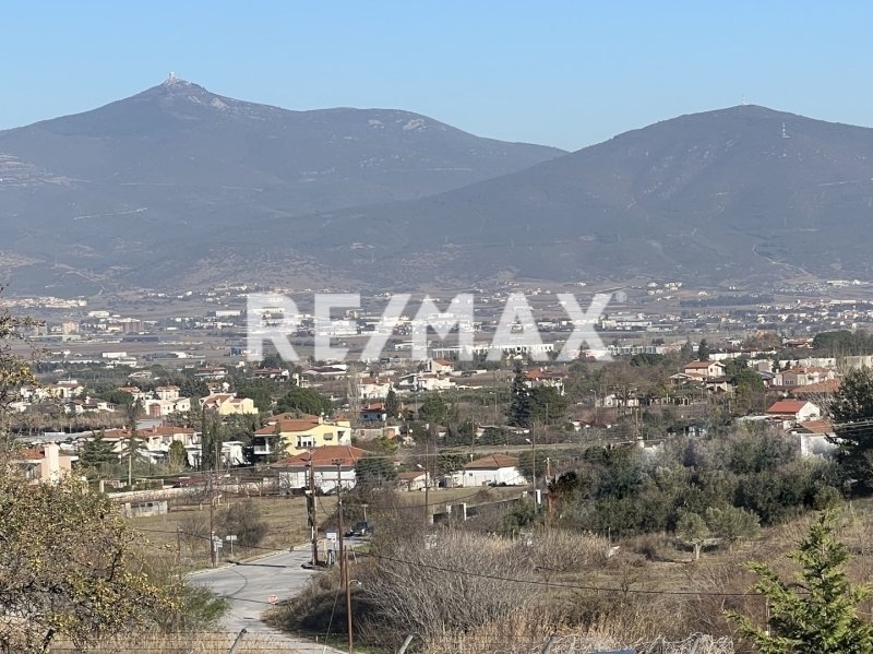 House in Central Macedonia, Macedonia and Thrace, Greece 5 - 16904801