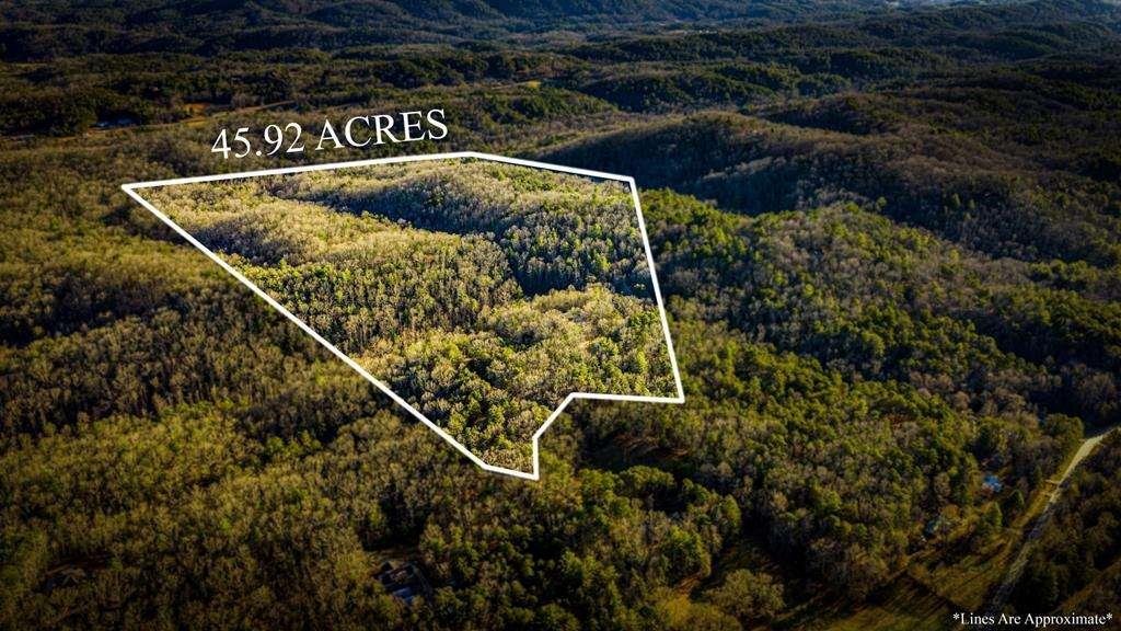House in Mineral Bluff, Georgia, United States 3 - 16907238