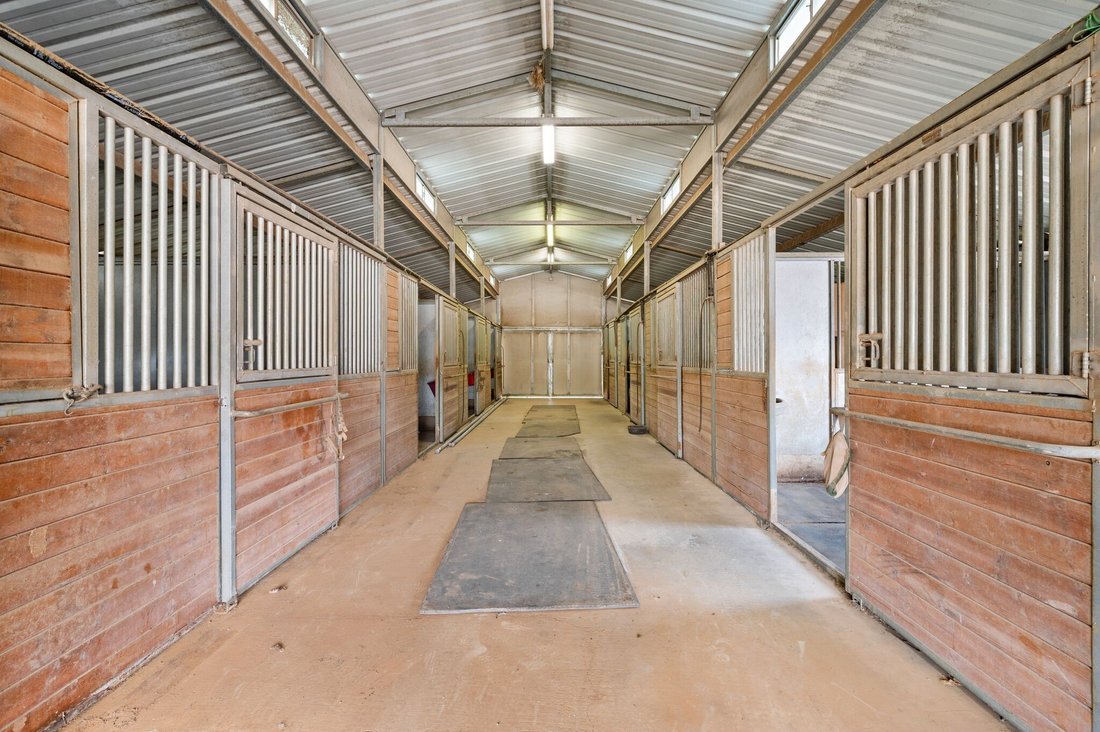 Farm Ranch in Mansfield, Texas, United States 5 - 16907740