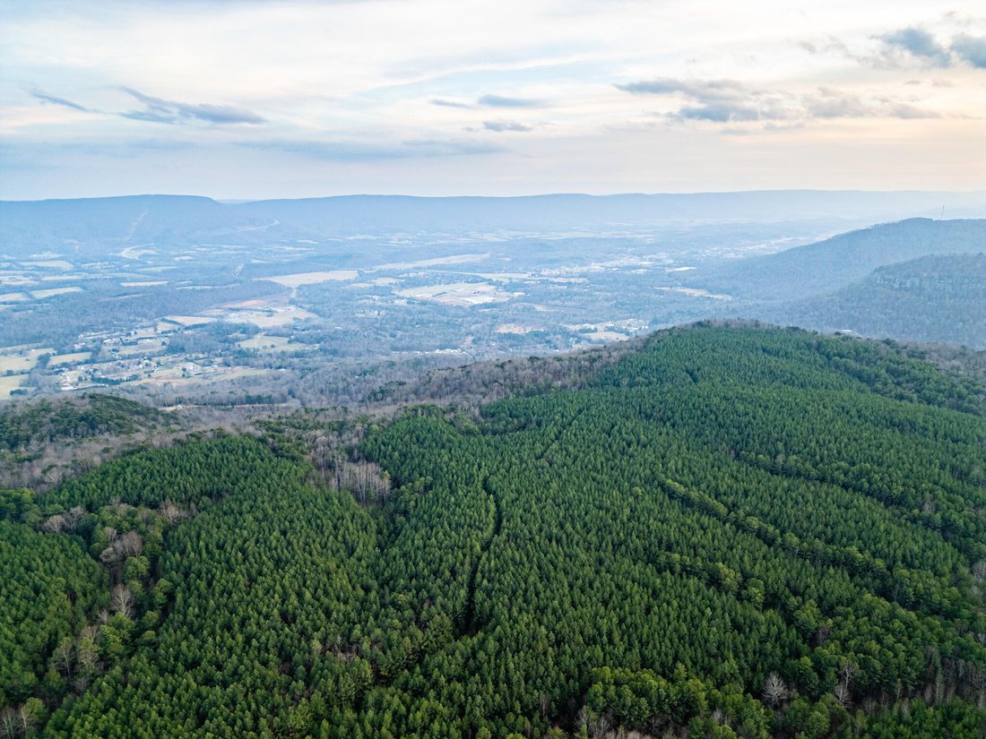 Land in Dunlap, Tennessee, United States 4 - 16849443