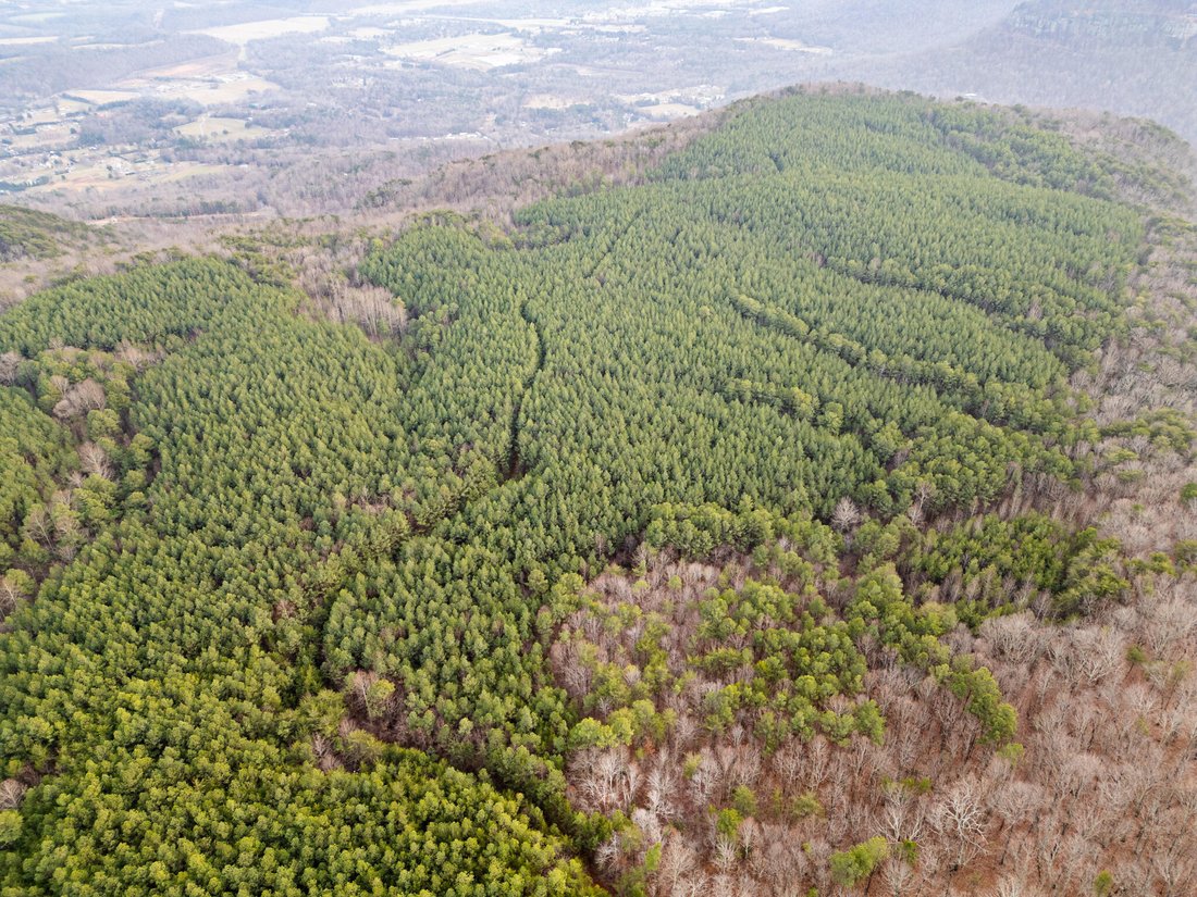 Land in Dunlap, Tennessee, United States 5 - 16849443