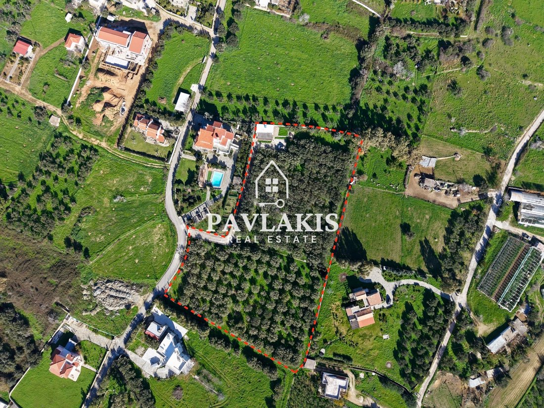 Land in Euboea, Thessaly and Central Greece, Greece 2 - 16912014