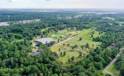 Azienda agricola a Humble, Texas, Stati Uniti 1