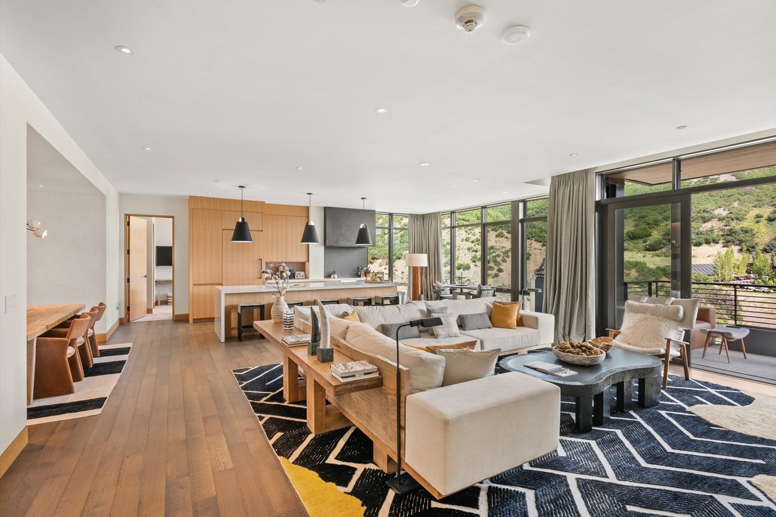 Condo in Aspen, Colorado, United States 3 - 16909953