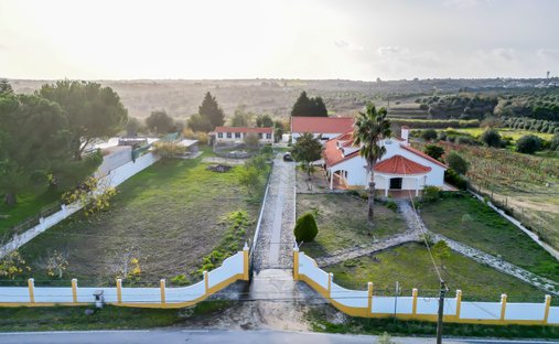 House in Brogueira, Parceiros de Igreja e Alcorochel, Santarem District, Portugal 1