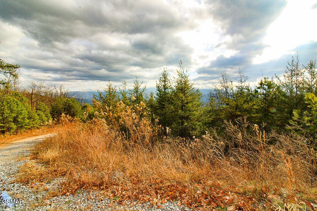 Land in Sevierville, Tennessee, United States 4 - 16912401