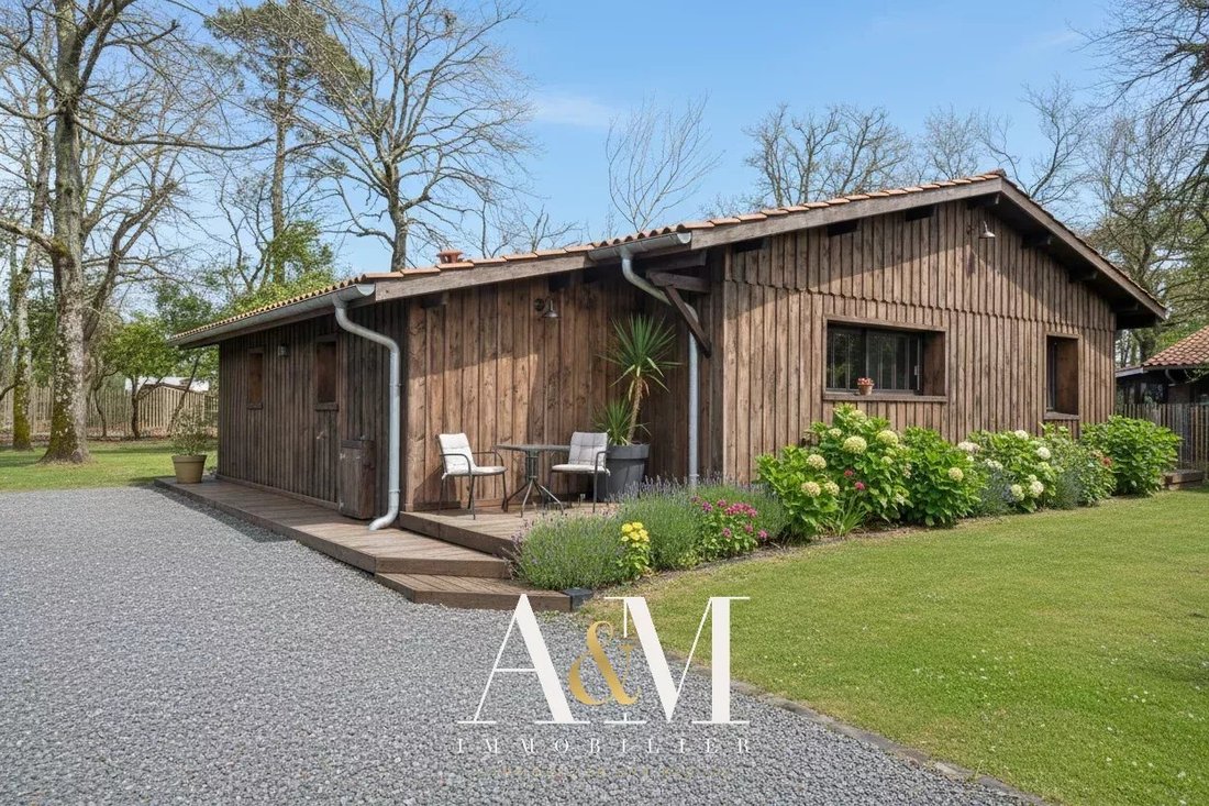 House in Sud Est, Andernos-les-Bains, France 3 - 16904647