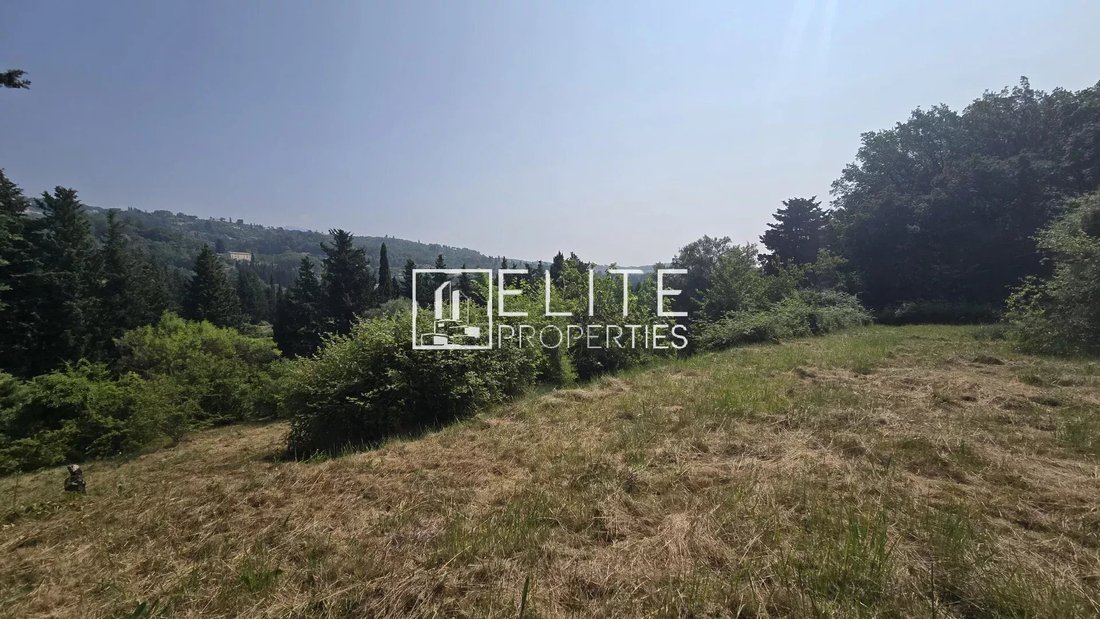 Land in Grasse, Provence-Alpes-Côte d'Azur, France 4 - 16908913