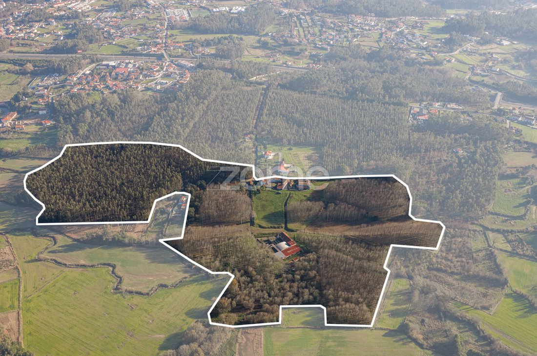 Finca in Santa Maria da Feira, Aveiro District, Portugal 3 - 16907512