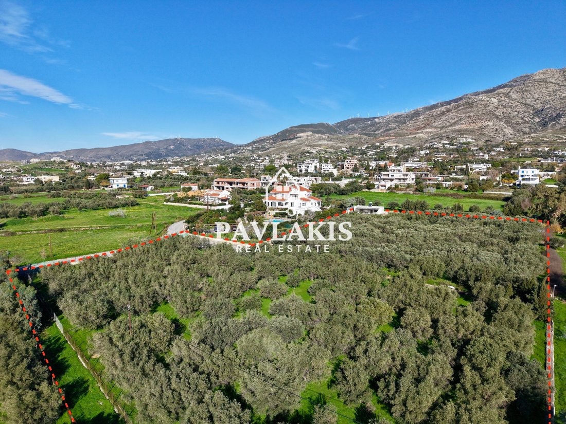 Land in Euboea, Thessaly and Central Greece, Greece 5 - 16912014