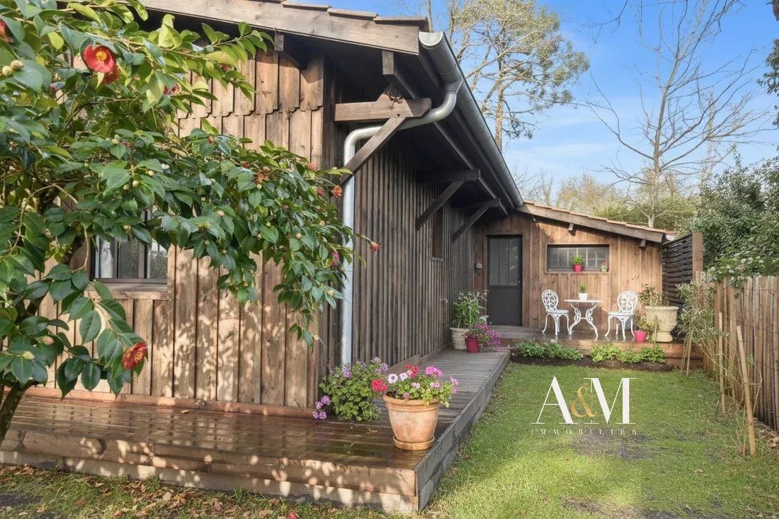 House in Sud Est, Andernos-les-Bains, France 5 - 16904647
