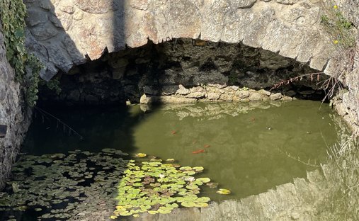 Château Vic Fezensac 503.14 Sqm 9 Rooms