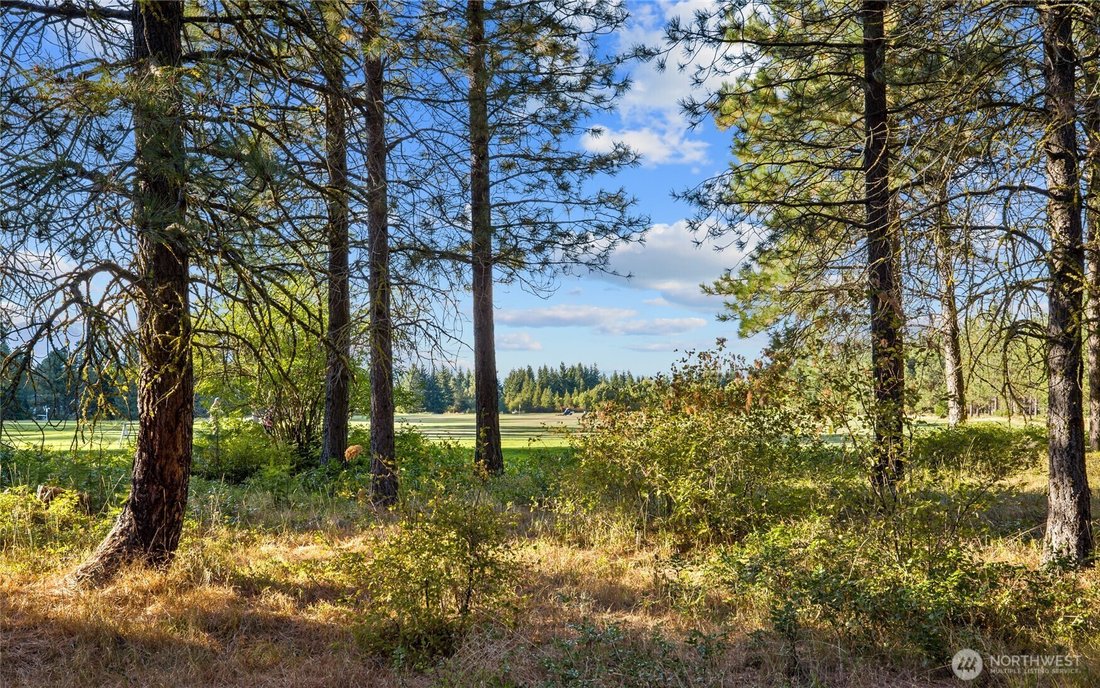 Land in Cle Elum, Washington, United States 1 - 16911593