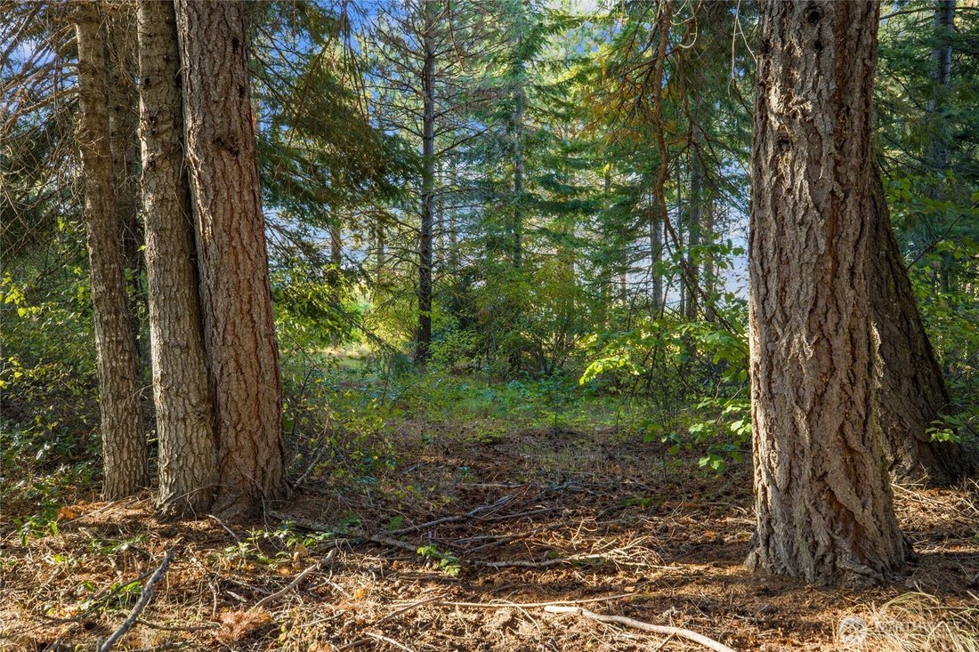 Land in Cle Elum, Washington, United States 3 - 16911593