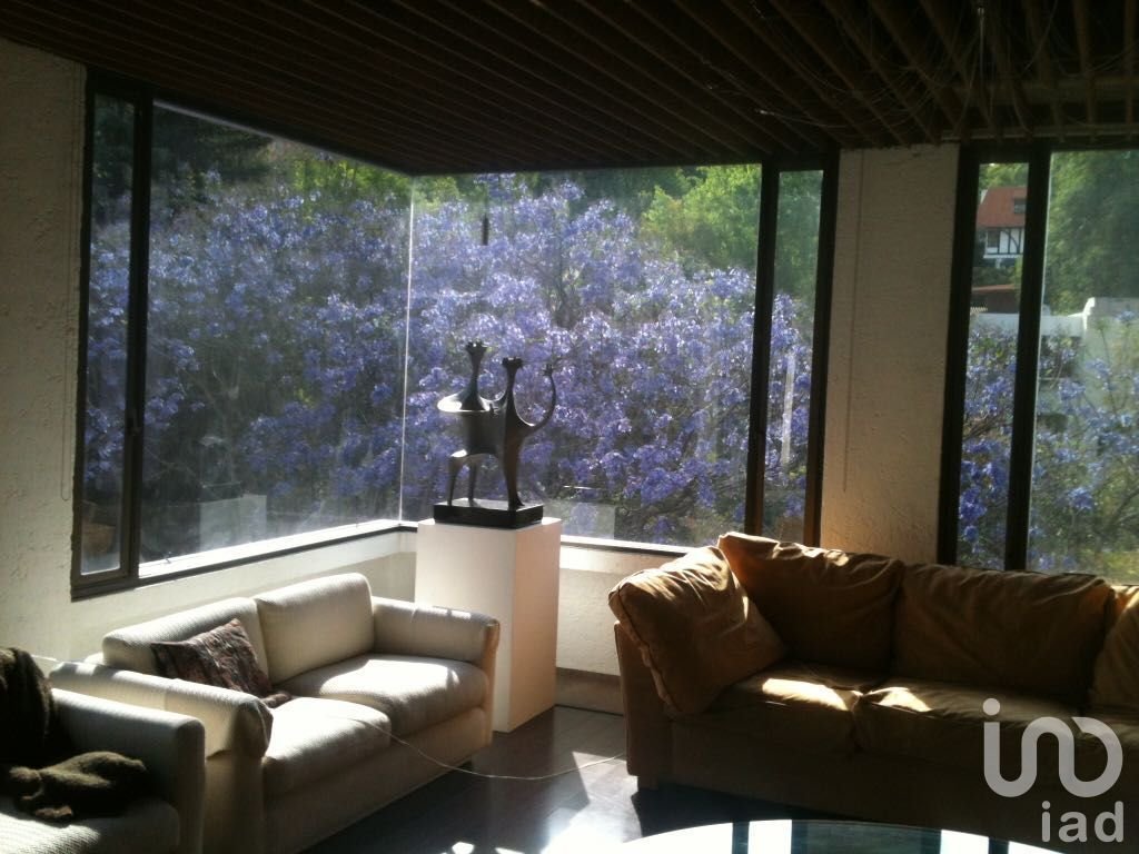 House in Mexico City, Mexico 2 - 16910445