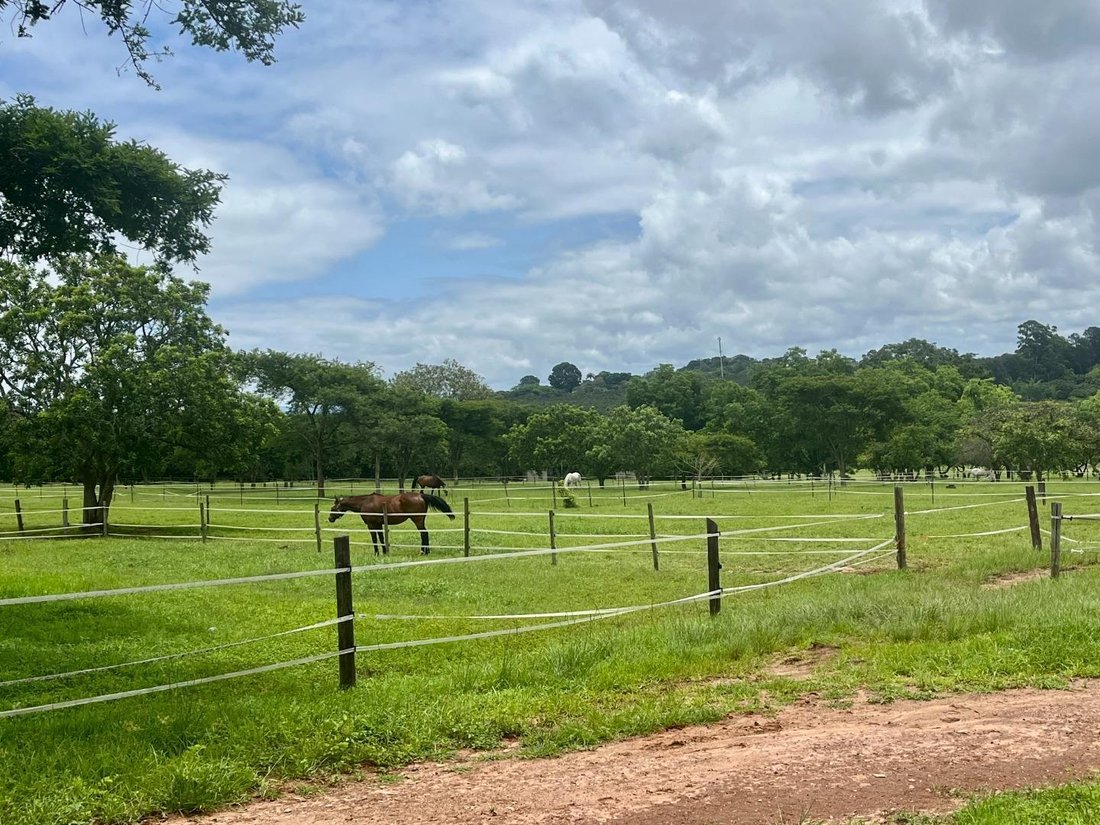 Farm Ranch in Mbombela, Mpumalanga, South Africa 5 - 16911732