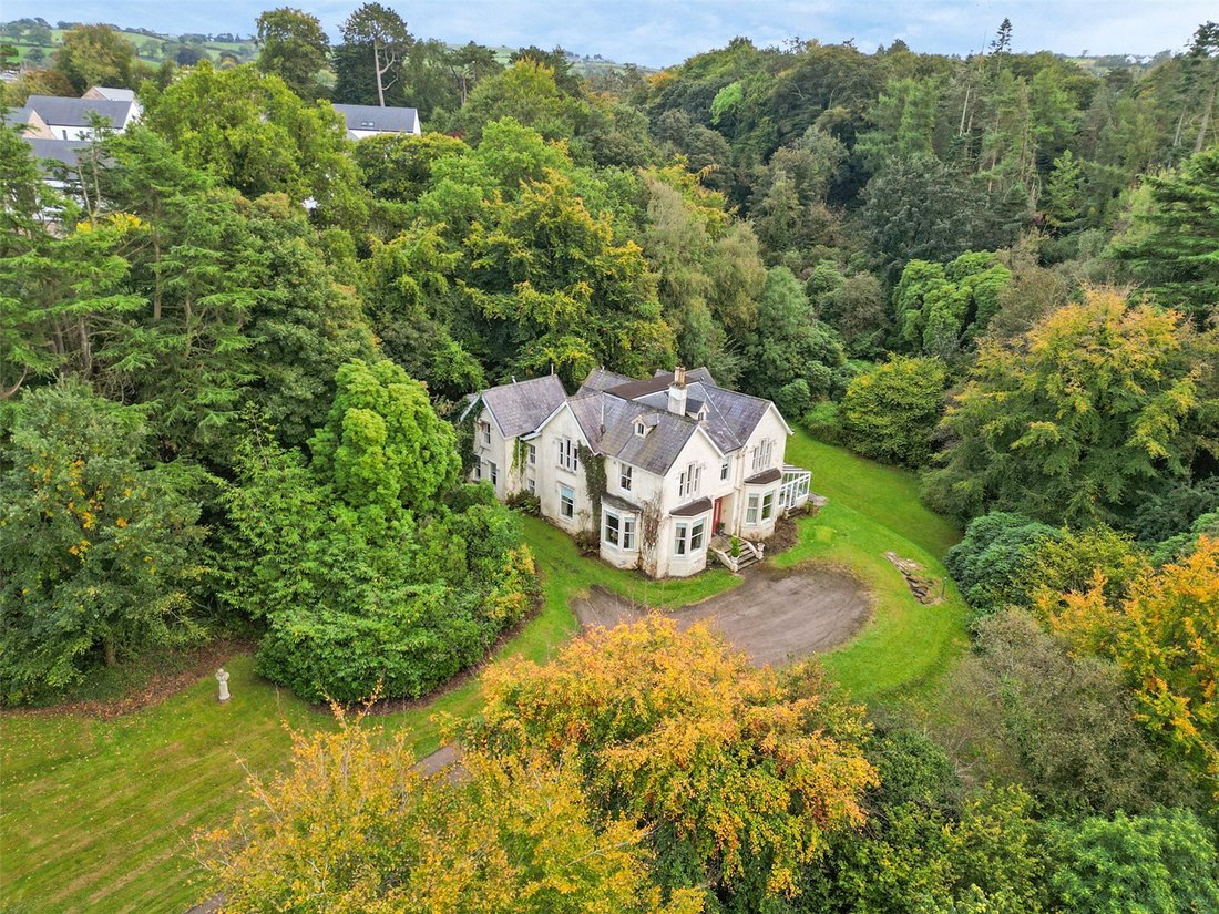 House in Ards and North Down District Council, Northern Ireland 1 - 16905329