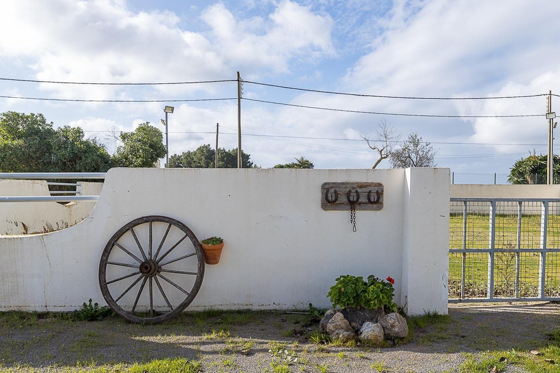 Country House in Playa de Palma, Palma, Balearic Islands 1 - 16908586
