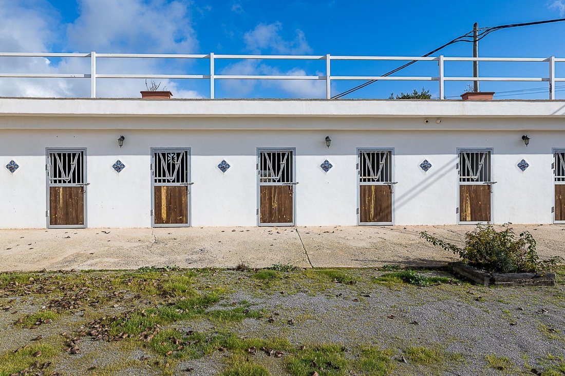 Country House in Playa de Palma, Palma, Balearic Islands 4 - 16908586