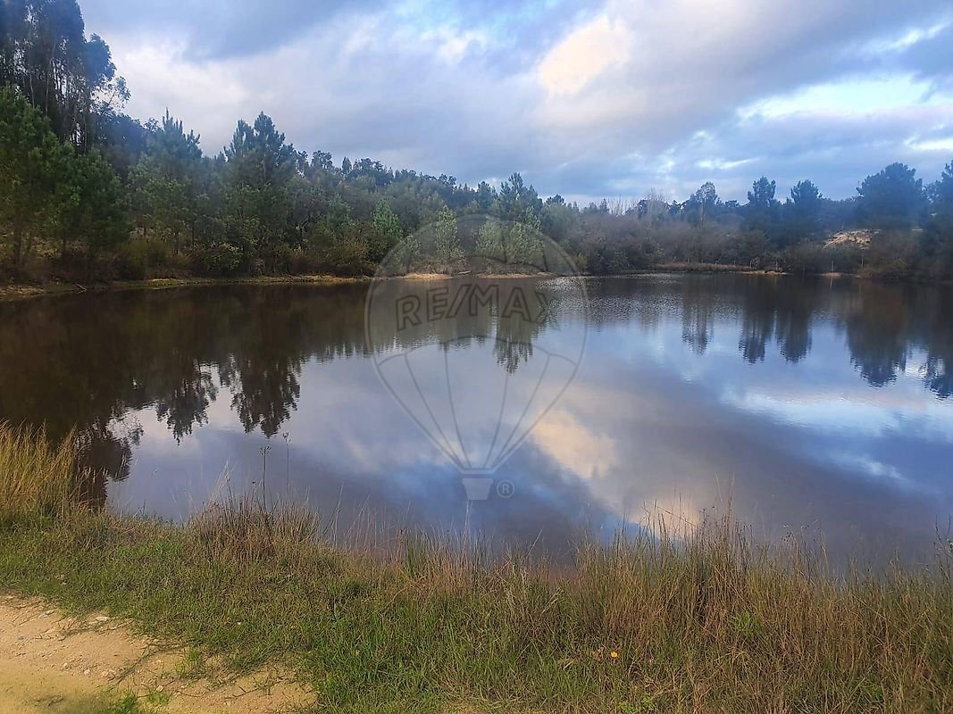 Finca in Raposa, Santarem District, Portugal 4 - 16910343