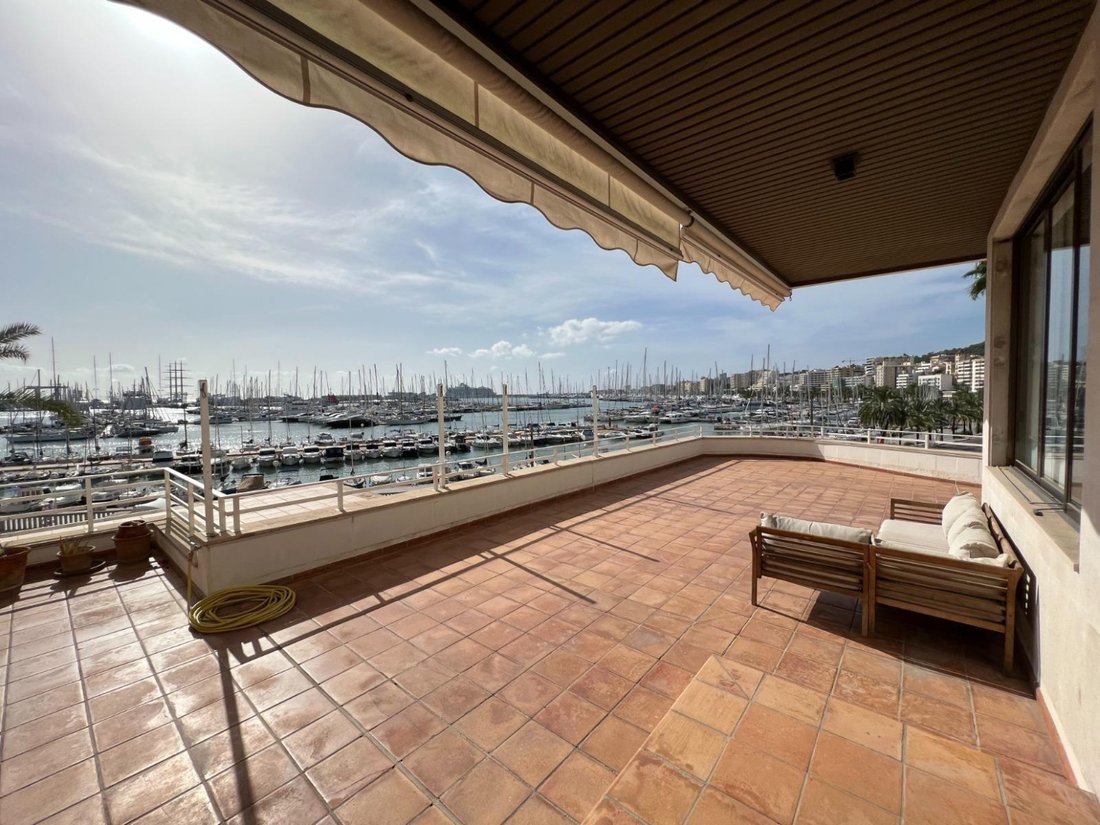 Apartment in Palma, Balearic Islands, Spain 2 - 16914837