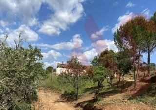 Farm Ranch in Silves, Algarve, Portugal 2 - 16906805