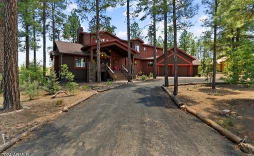 House in Show Low, Arizona, United States 1