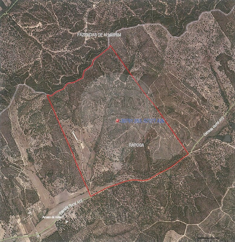 Finca in Raposa, Santarem District, Portugal 3 - 16910343