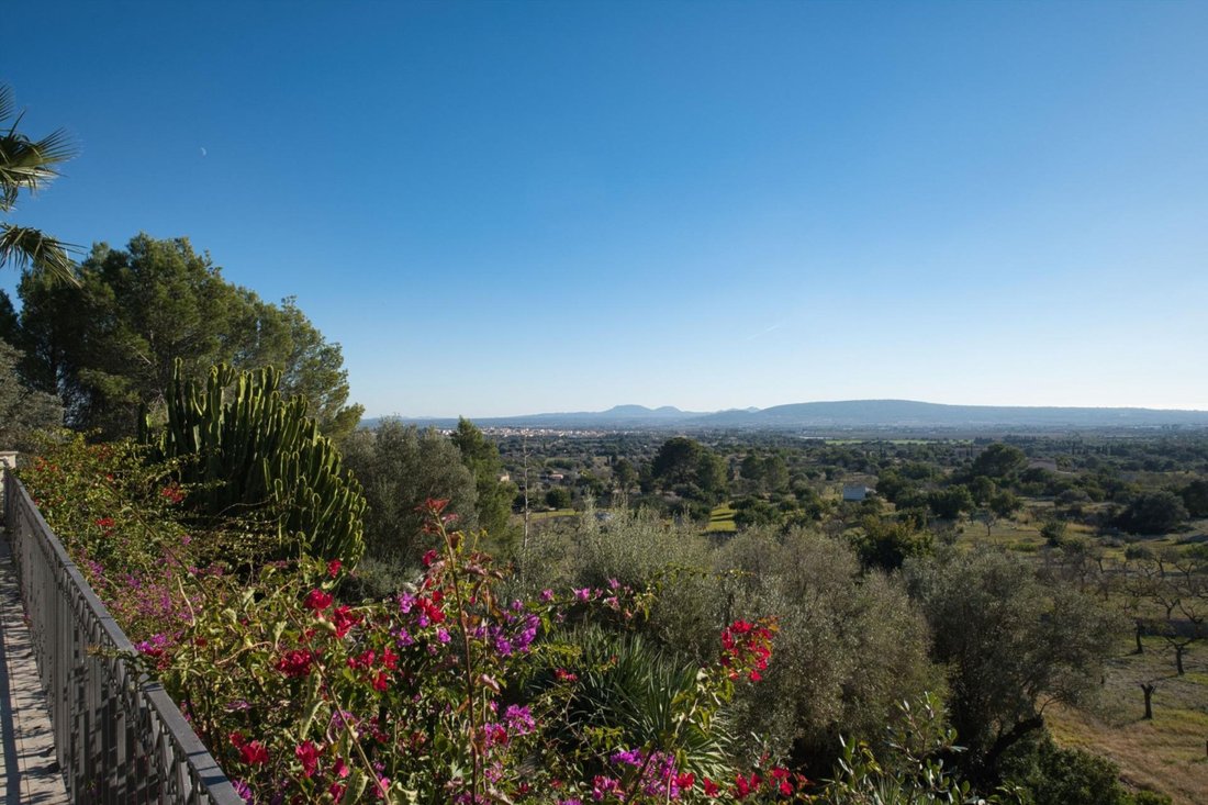 House in Santa Maria del Cami, Balearic Islands, Spain 4 - 16914861