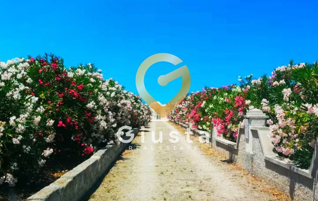 Appartement à Sainte Catherine - Ramunno - Chianchizzo, Ostuni, Pouilles 3 - 16908205