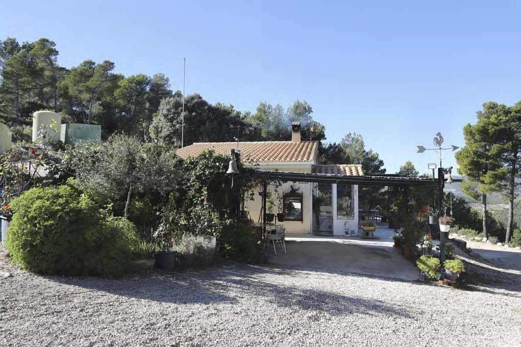 Farm Ranch in la Torre de les Macanes / Torremanzanas, Valencian Community, Spain 1 - 16915198