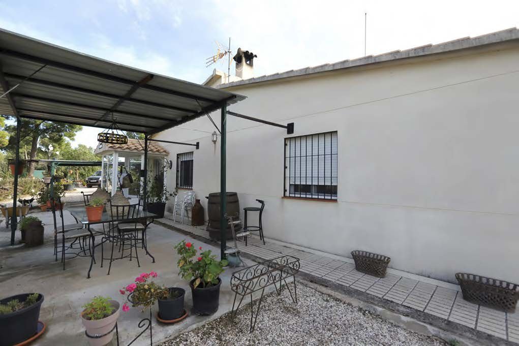 Farm Ranch in la Torre de les Macanes / Torremanzanas, Valencian Community, Spain 2 - 16915198