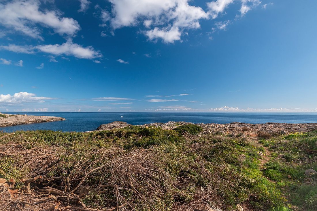 Land in Santanyi, Balearic Islands, Spain 4 - 16915211