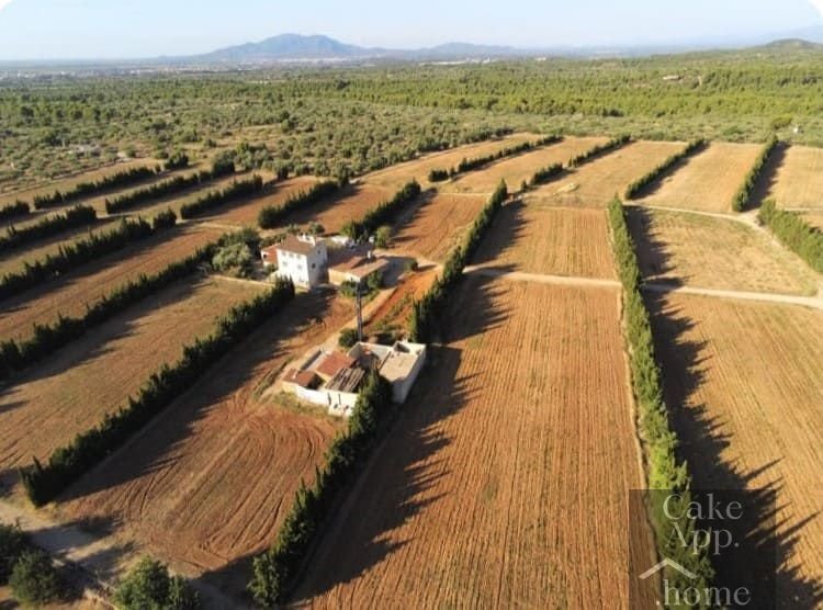 Finca in Camarles, Catalonia, Spain 1 - 16915186