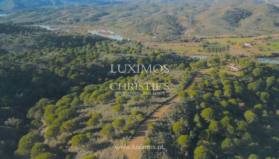Land in Sao Bartolomeu de Messines, Algarve, Portugal 3 - 16916276