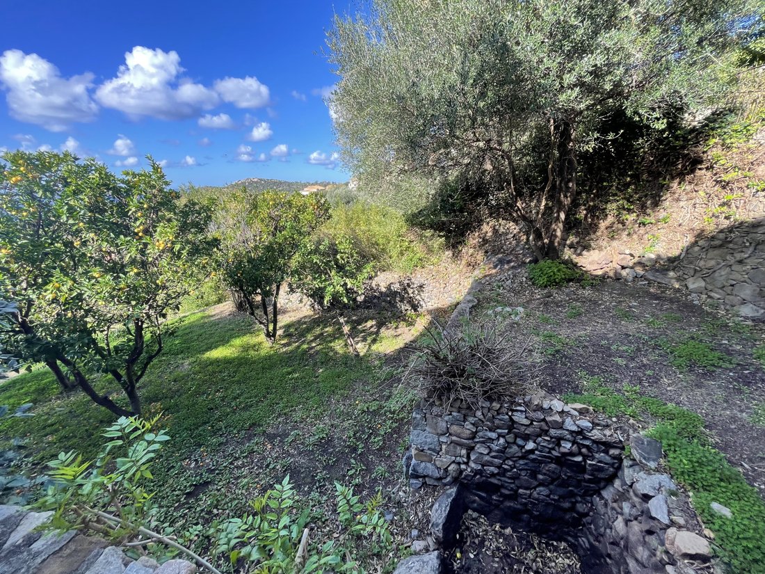 House in Lumio, Corsica, France 5 - 16915934