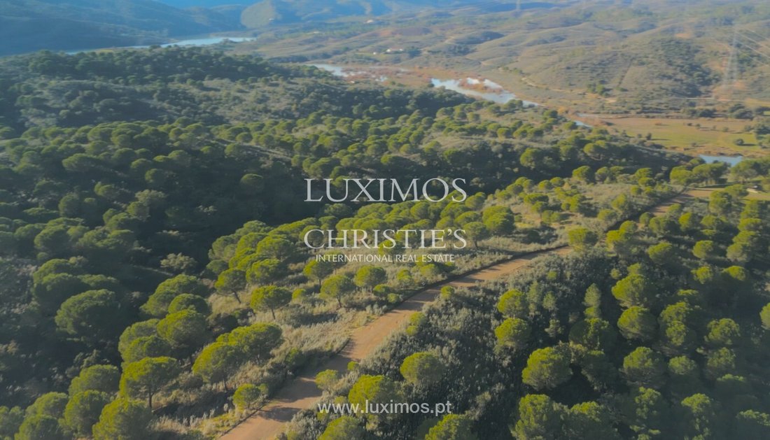 Land in Sao Bartolomeu de Messines, Algarve, Portugal 5 - 16916276