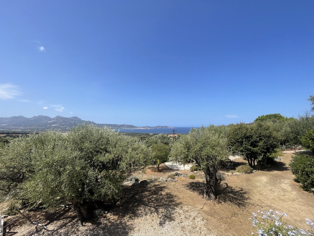 House in Lumio, Corsica, France 2 - 16915909