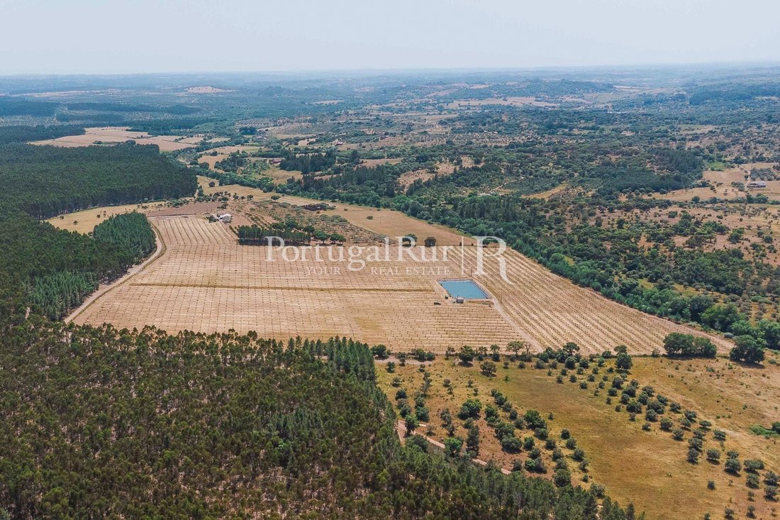 Finca in Penamacor, Castelo Branco District, Portugal 2 - 16919296