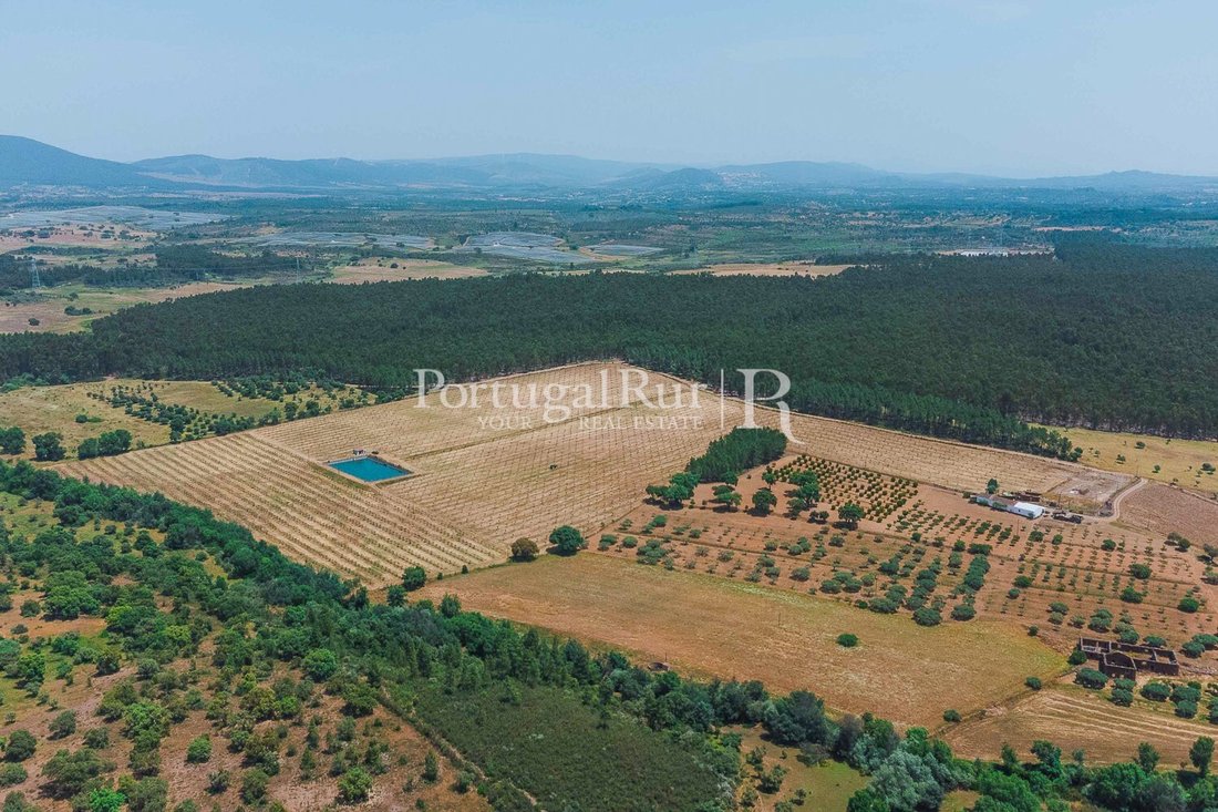 Finca in Penamacor, Castelo Branco District, Portugal 5 - 16919296