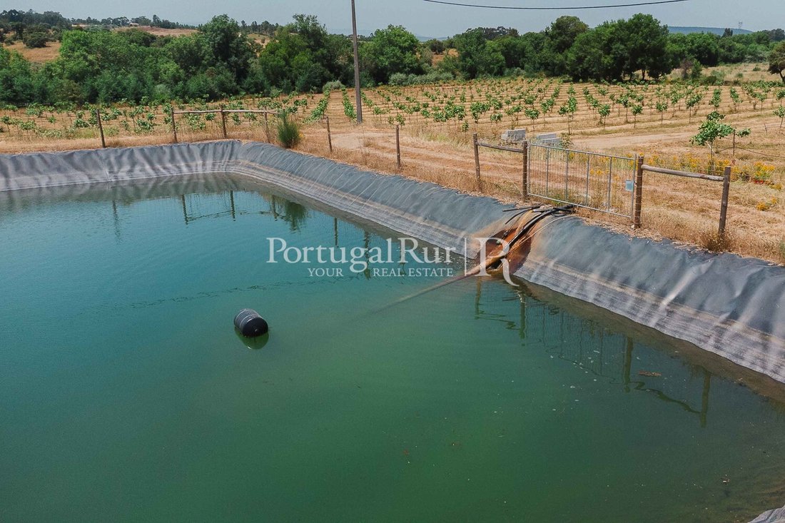 Finca in Penamacor, Castelo Branco District, Portugal 4 - 16919296