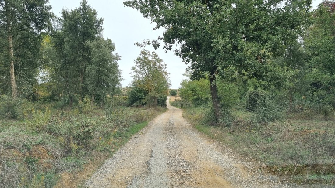 Country House in Magliano in Toscana, Tuscany, Italy 4 - 16917506