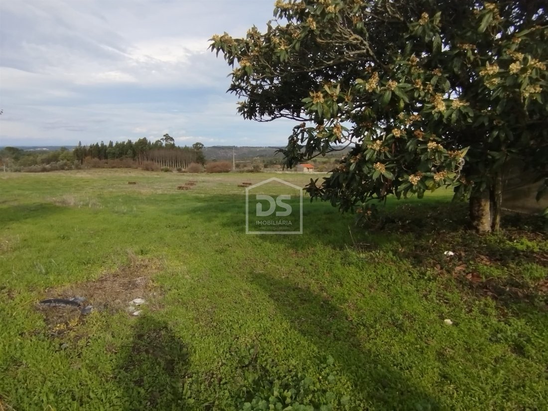 House in Tourais e Lajes, Guarda District, Portugal 2 - 16919239