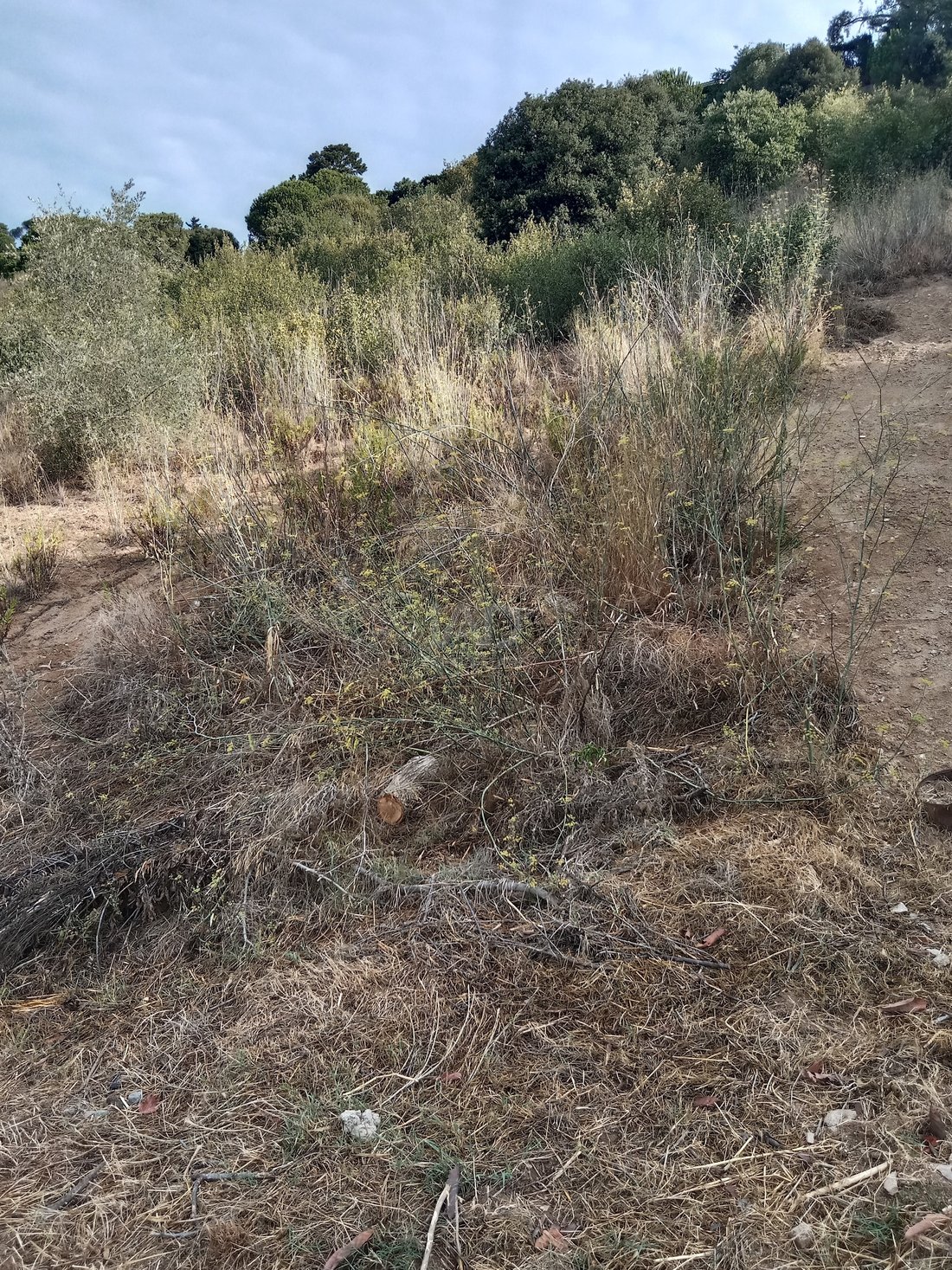 Land in Sant Cebria de Vallalta, Catalonia, Spain 5 - 12182954