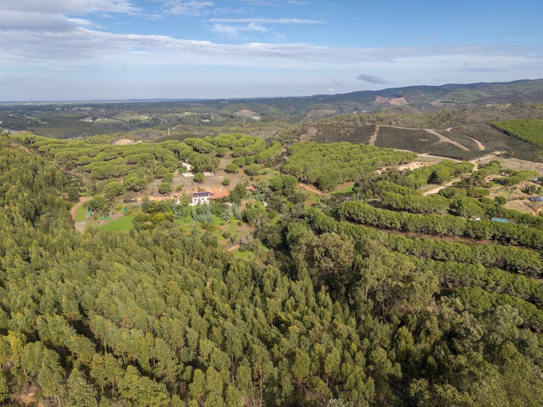 Finca in Aljezur, Algarve, Portugal 5 - 16919306