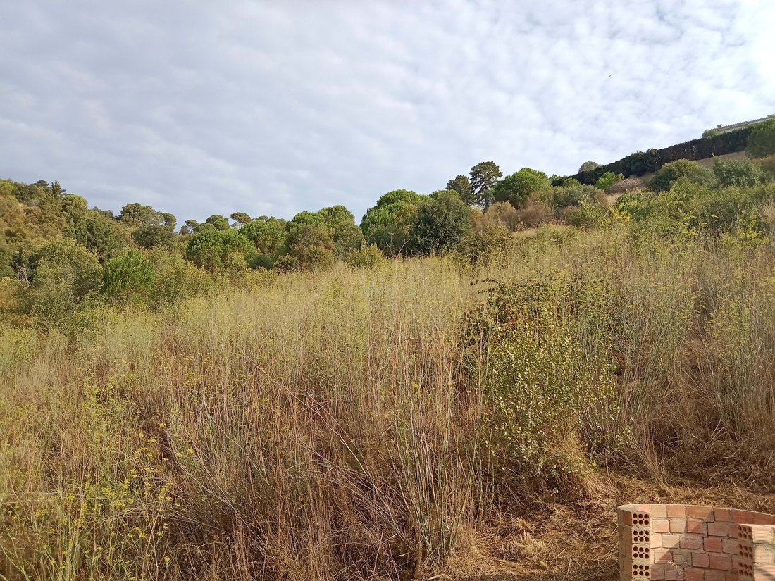Land in Sant Cebria de Vallalta, Catalonia, Spain 4 - 12182954