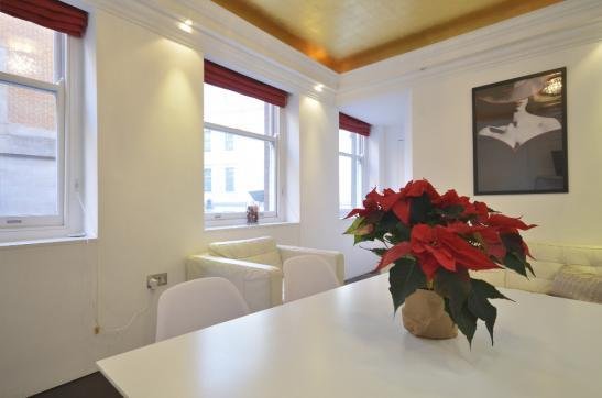 Apartment in Charing Cross, Westminster, England 4 - 16917040